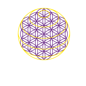 Le Module (Coudée Locale)